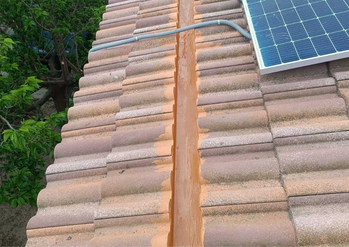 Limpieza y reparación de canalones