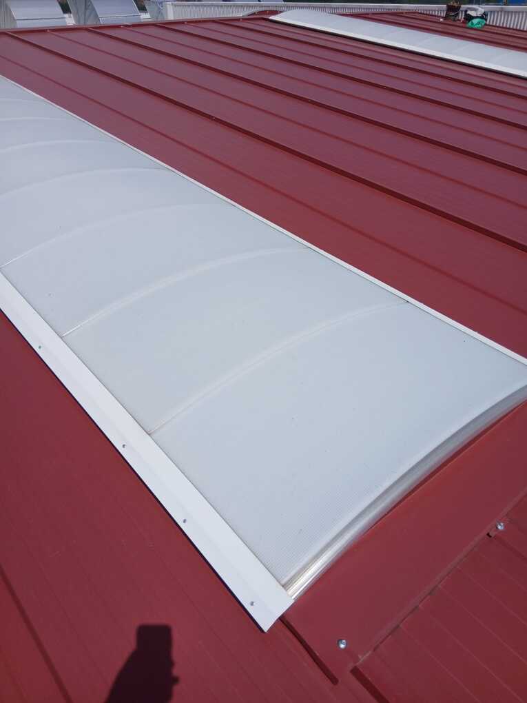 IMG-20250619-WA0004