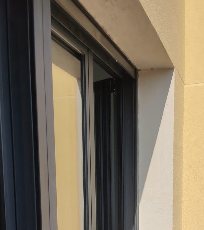 plegados-zaragoza
